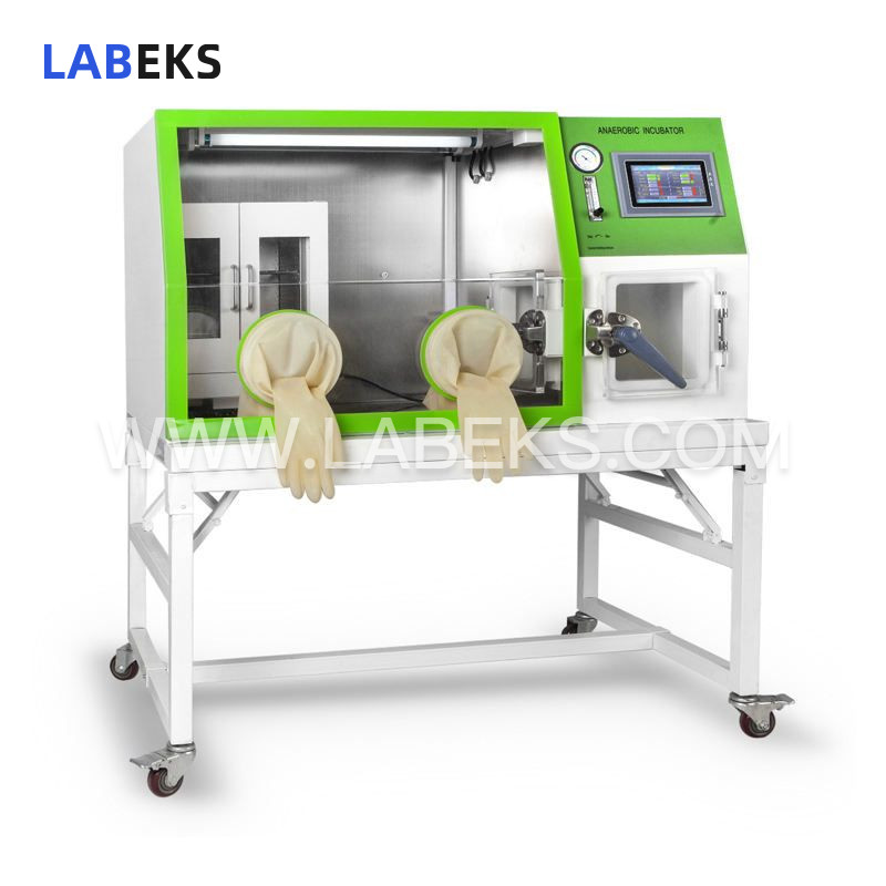 anaerobic-incubator-for-microbiology-research-with-03-temp-stability-1