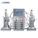 desktop-two-conjoined-sterilization-glass-bioreactor-fermenter-with-siemens-plc-control-for-strain-screening-2