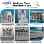 desktop-two-conjoined-sterilization-glass-bioreactor-fermenter-with-siemens-plc-control-for-strain-screening-6