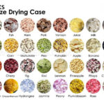 food-freeze-dryer-for-home-one-touch-operation-35c-condenser-temp-3