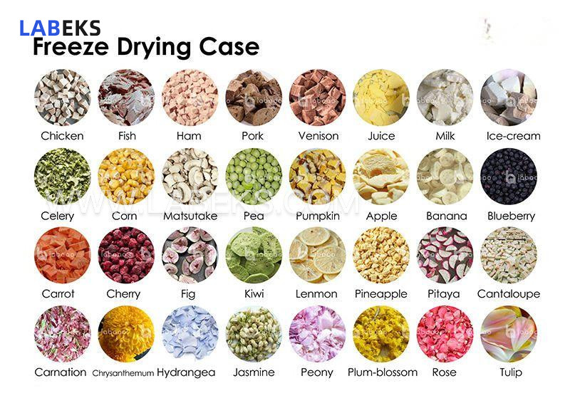 freeze-dryer-lyophilizer-with-35-cold-trap-30-stage-programmable-control-2