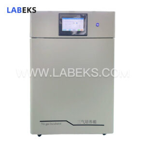 tri-gas-co2o2n2-incubator-with-precision-gas-control-for-cell-culture-1